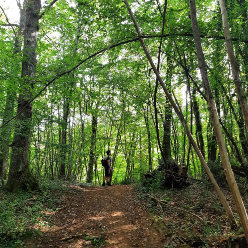 Baño de bosques - NPLS Parador de Jarandilla de la Vera
