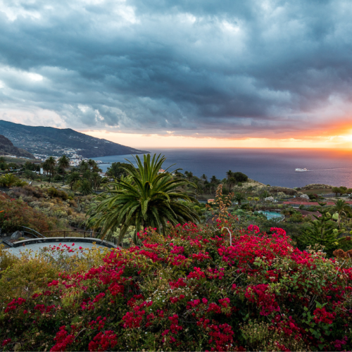 Jardin Parador de La Palma