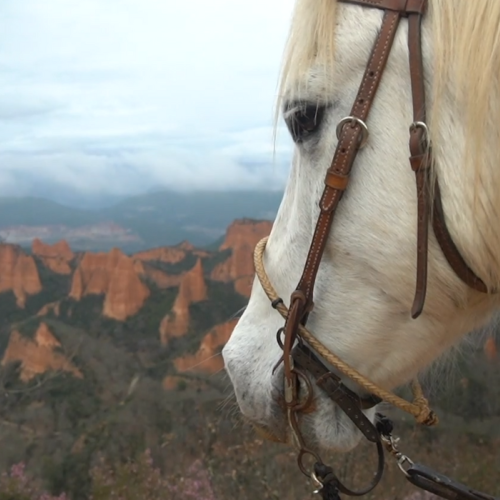 Actividad Médulas a Caballo