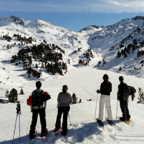 Actividad Naturaleza para los sentidos: caminos de nieve