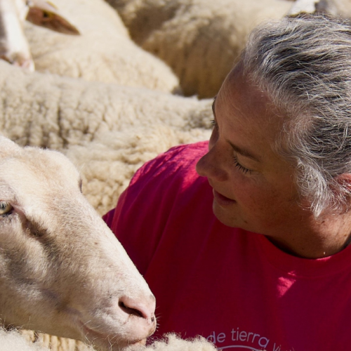 Actividades del programa de Paradores: Naturaleza para los Sentidos