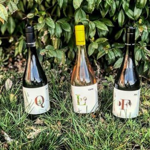 Vinos de Solana Roivert
