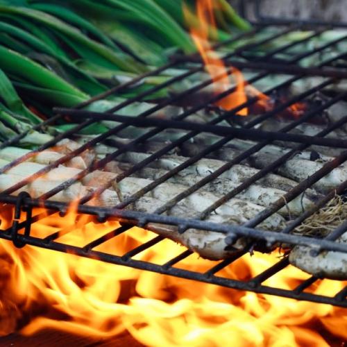 Calçots