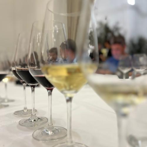 Cata con Clos de Pons en 2023