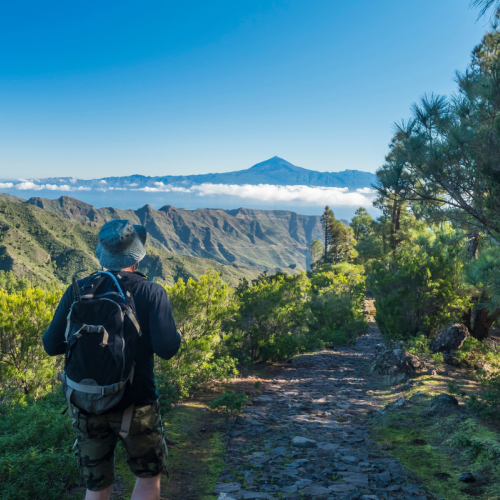 Parque Garajonai en La Gomera