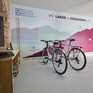 Bike room en el Parador de Cangas de Onís