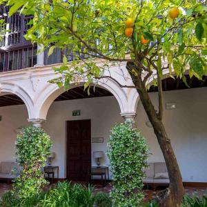 Naranjo en el patio interior del Parador de Granada