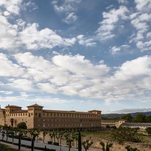 Panorámica del Palacio de los Reyes de Navarra de Olite