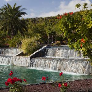 Cascada en el jardín del Parador de La Palma