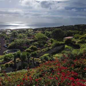 Jardín botánico con vistas al mar del Parador de La Palma