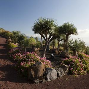 Paseo en el jardín botánico del Parador de La Palma