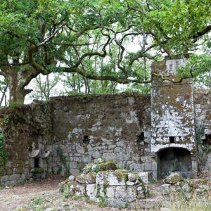 Entorno del Parador de Santo Estevo