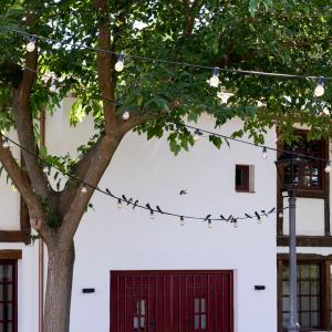 Detalle de golondrinas del Parador de Albacete
