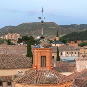 Cigüeña cerca del Parador de Alcalá de Henares