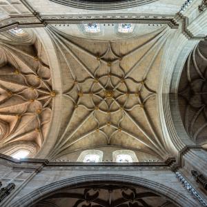Bóvedas de la catedral de Calahorra
