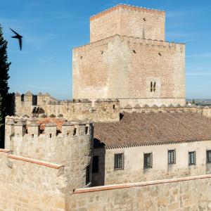 Muralla y torre del castillo de Ciudad Rodrigo
