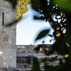 Detalle de jardín del Parador de Ciudad Rodrigo