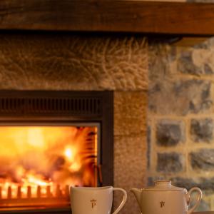 Detalle de chimenea del Parador de Fuente Dé