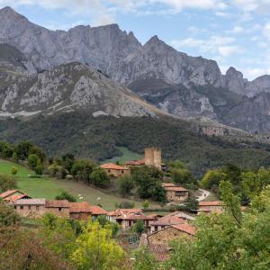 Mogrovejo cerca del Parador de Fuente Dé