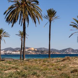 Entorno del Parador de Ibiza