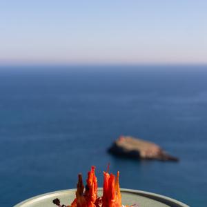 Gastronomía del Parador de Ibiza