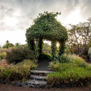 Especies vegetales del jardín del Parador de La Palma