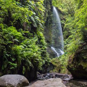 Cascada de Tilos, cerca del Parador de La Palma
