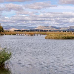 Tablas de Daimiel cerca del Parador de Manzanares