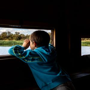 Niño observando aves en Daimiel cerca del Parador de Manzanares