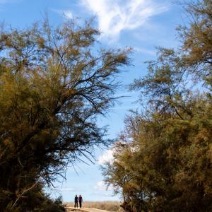 Entorno del Parador de Manzanares en las Tablas de Daimiel