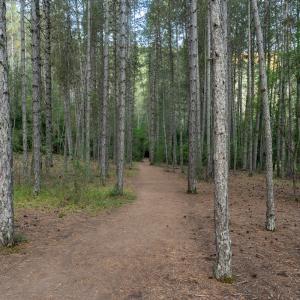 La naturaleza del entorno del Parador de Molina de Aragón