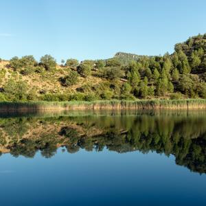 Espacios naturales en el entorno del Parador de Molina de Aragón