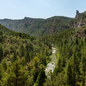 Espacios naturales en el entorno del Parador de Molina de Aragón