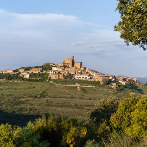 Panorámica de Olite donde se encuentra el Parador de Olite-Erriberri