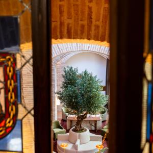 Detalle de árbol a través de vidriera del Parador de Olite-Erriberri