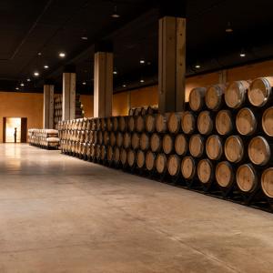 Bodegas de vino en el entorno del Parador de Olite-Erriberri