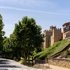 Vista conjunta del Parador de Olite-Erriberri y el castillo