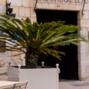 Detalle de terraza del Parador de Santillana Gil Blas