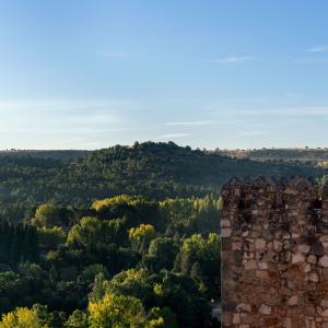 Detalle de arquitectura con zona verde detrás del Parador de Sigüenza