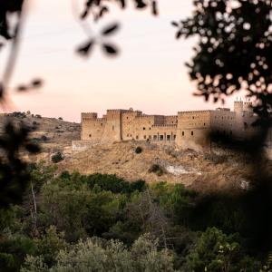 Vista entre vegetación del Parador de Sigüenza