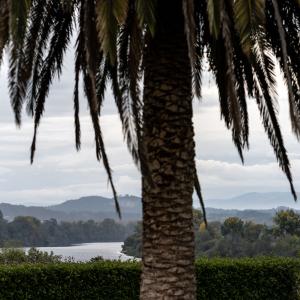 Entorno del Parador de Tui