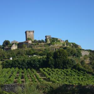 Panorámica del Parador del Castillo de Monterrei sobre la huerta de Verín
