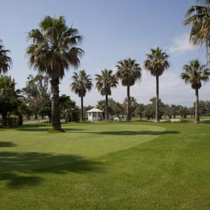 Paseo de palmeras en el campo de golf del Parador de Málaga Gibralfaro