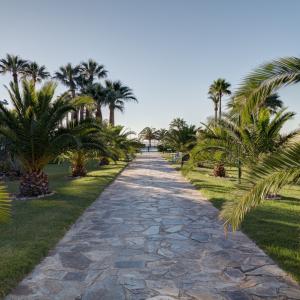 Paseo de piedra entre palmeras en los jardines del Parador de Benicarló