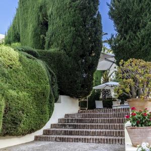 Escaleras entre setos en el Jardín del Parador de Mérida