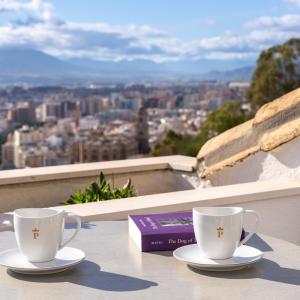Parador de Málaga Gibralfaro - Superior Doppelzimmer 