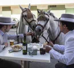Feria del Caballo