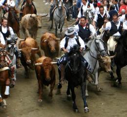 Fiestas de Segorbe