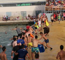 Bous a la mar