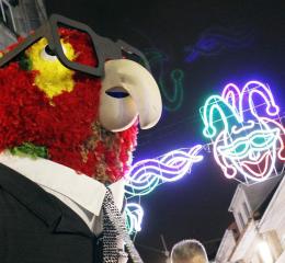 Loro ravachol.